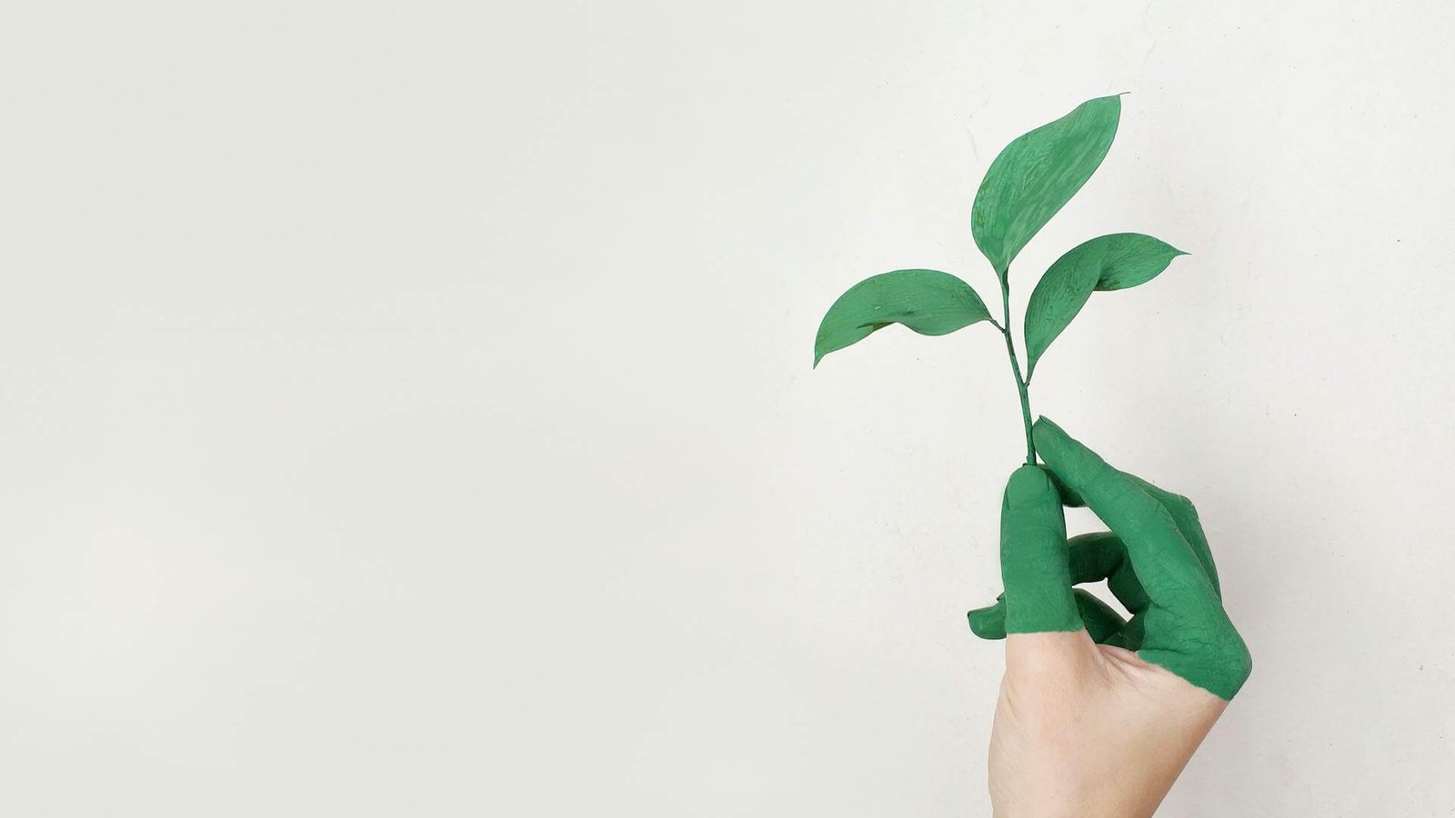 Eco-Friendly Learning: Sustainability in Education